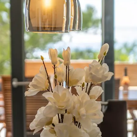 Villa Neptune Starigrad Paklenica